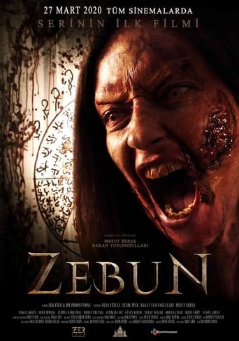 Poster of Zebun