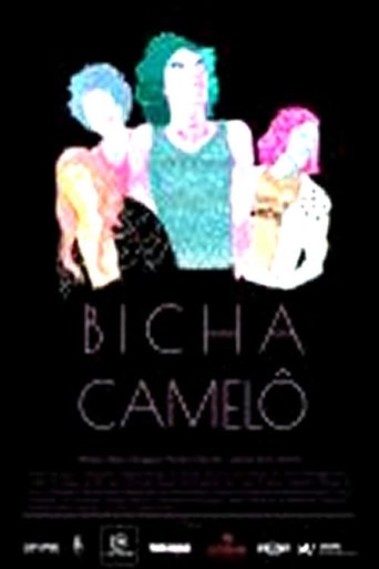 Poster of Bicha Camelô