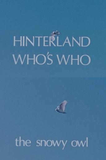 Poster of Hinterland Who's Who: The Snowy Owl