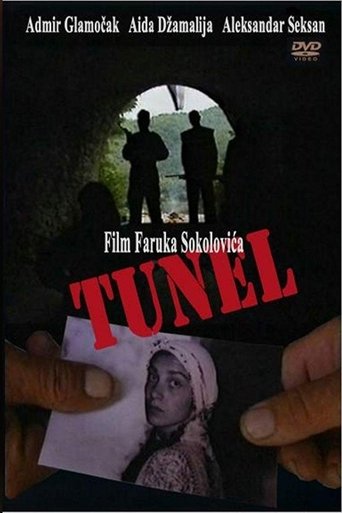 Poster of The Tunnel