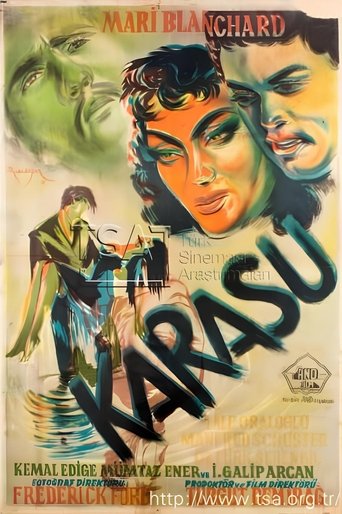 Poster of Karasu