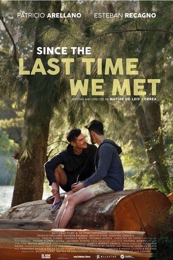 Poster of Since the Last Time We Met