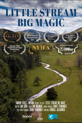 Poster of Little Stream, Big Magic