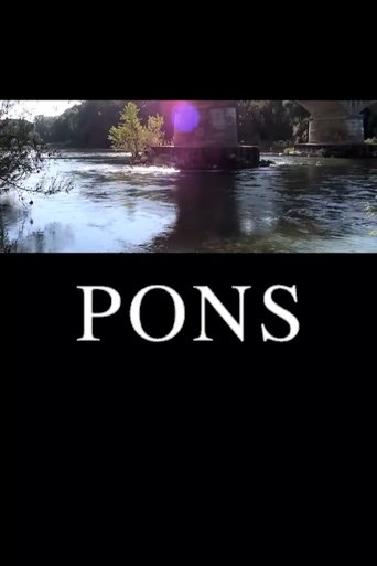 Poster of Pons