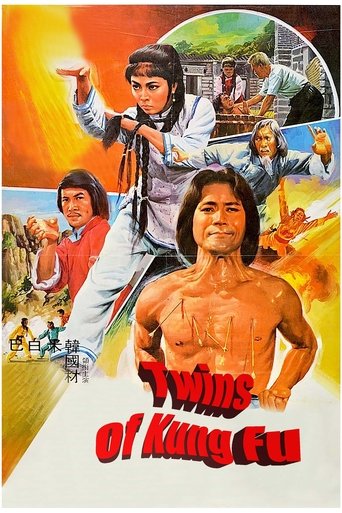 Poster of Twins of Kung Fu