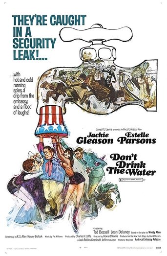 Poster of Don't Drink the Water