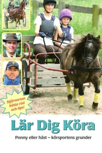 Poster of Lär dig köra