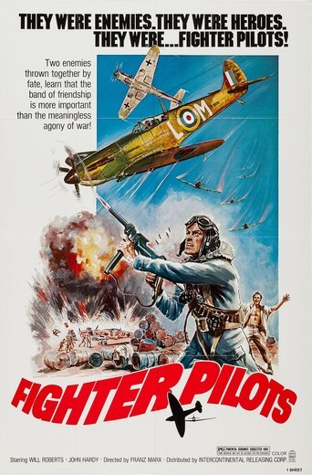 Poster of Fighter Pilots