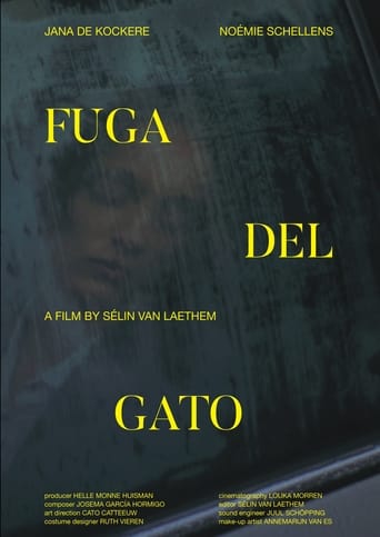 Poster of Fuga Del Gato