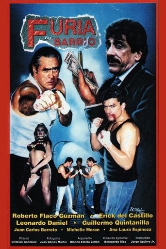 Poster of Furia de barrio