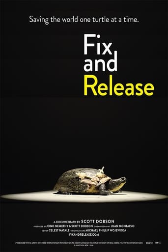 Poster of Fix and Release