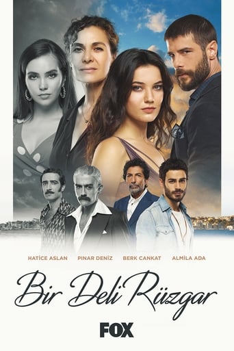 Poster of Bir Deli Rüzgar