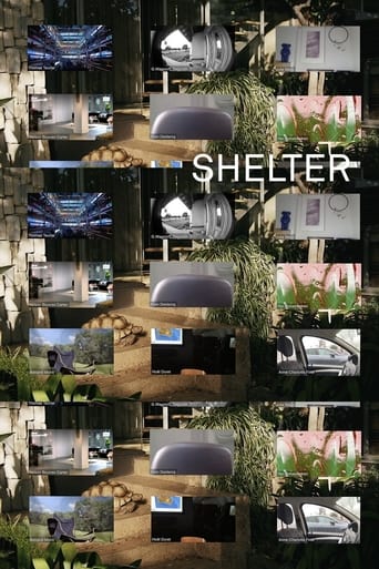 Poster of Shelter