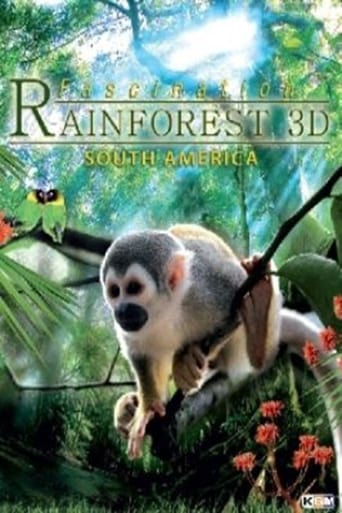 Poster of Fascination Rainforest 3D