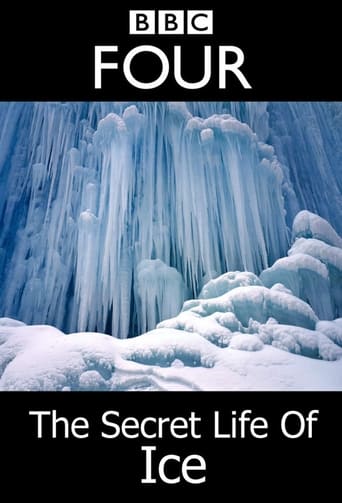 Poster of The Secret Life Of Ice