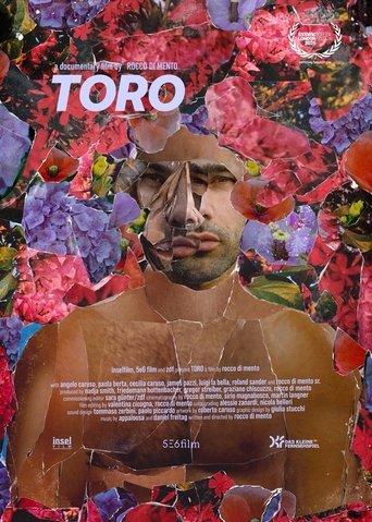 Poster of Toro