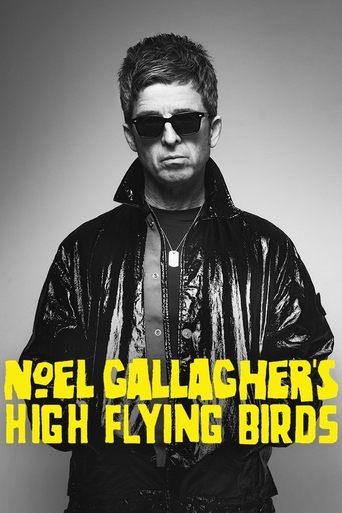 Poster of Noel Gallagher's High Flying Birds en concert au Zénith de Paris