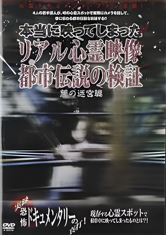 Poster of Investigation of Real Supernatural Footage and Urban Legends: Labyrinth of Darkness Edition