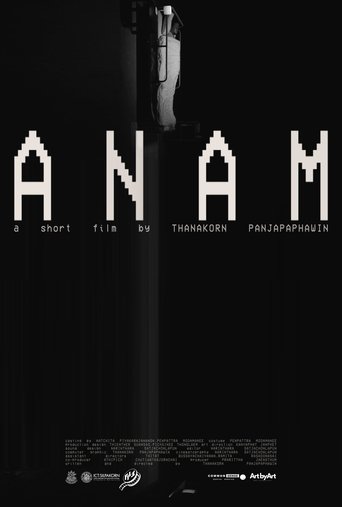 Poster of ANAM