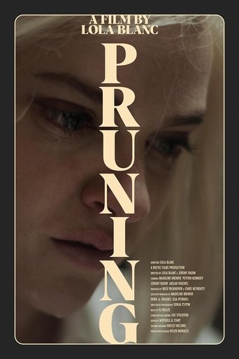 Poster of Pruning