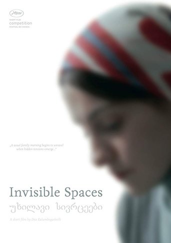 Poster of Invisible Spaces