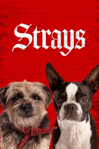 Poster of Strays