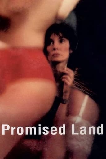 Poster of Promised Land