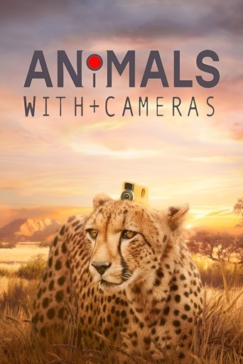 Poster of Animals with Cameras