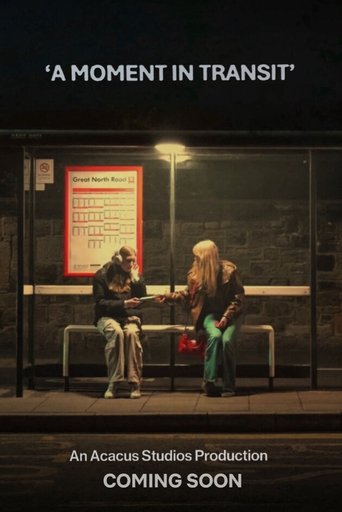 Poster of A Moment In Transit