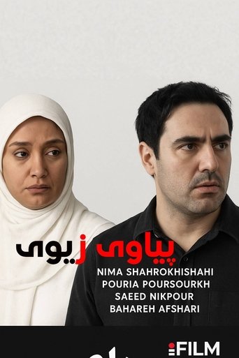 Poster of The Silver Man