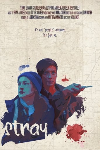 Poster of Stray