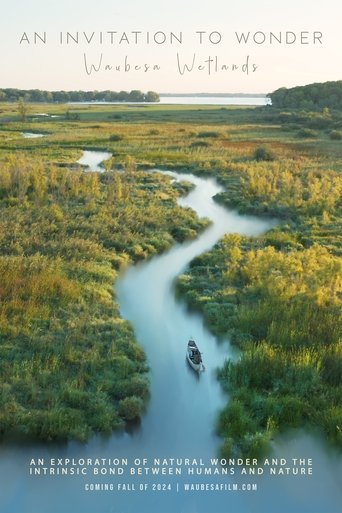 Poster of An Invitation to Wonder: Waubesa Wetlands