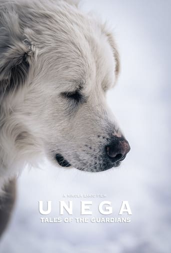 Poster of Unega | Tales Of The Guardians