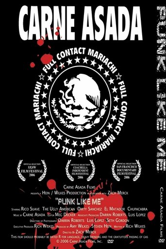 Poster of Punk Like Me