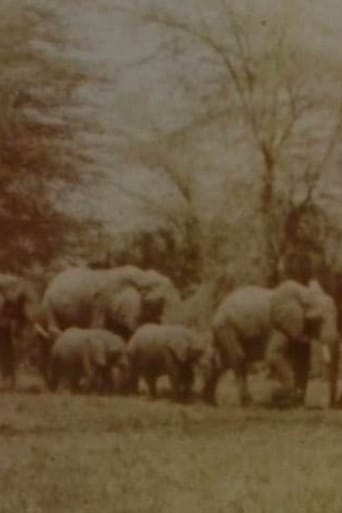 Poster of Elephants' Test