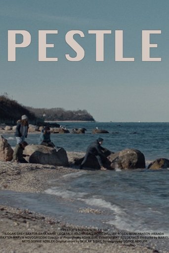 Poster of Pestle