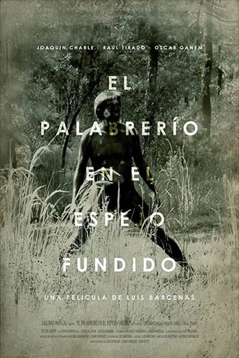 Poster of El palabrerío en el espejo fundido