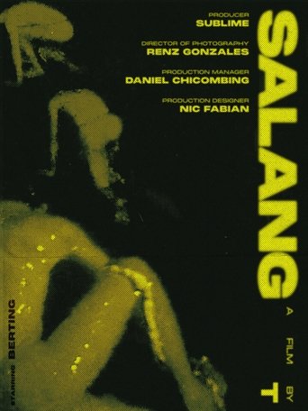 Poster of Salang