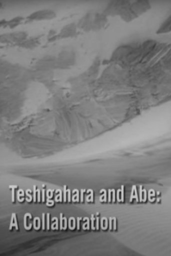 Poster of Teshigahara and Abe