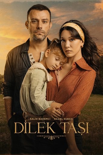 Poster of Dilek Taşı