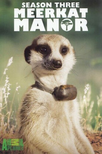 Portrait for Meerkat Manor - Season 3