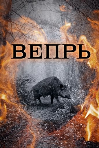 Poster of Вепрь