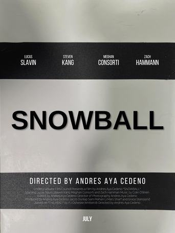 Poster of Snowball