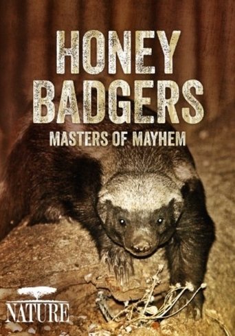 Poster of Honey Badgers: Masters of Mayhem