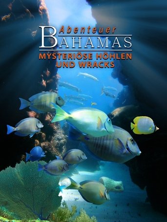 Poster of Adventure Bahamas 3D - Mysterious Caves And Wrecks