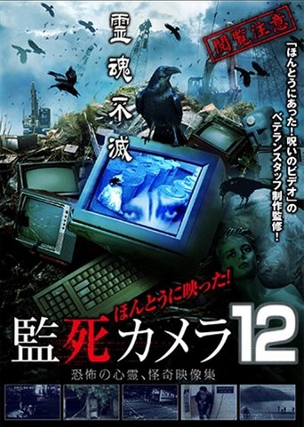 Poster of Paranormal Surveillance Camera 12