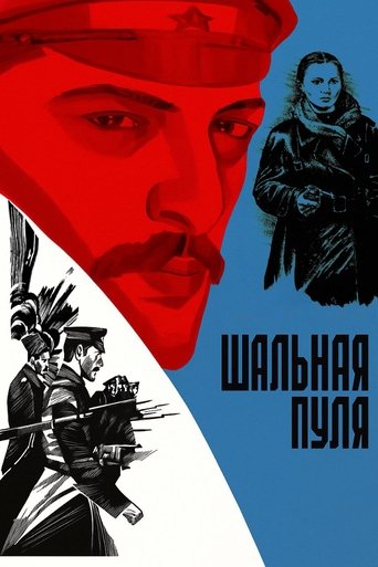 Poster of Stray Bullet