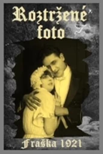 Poster of Roztržené foto