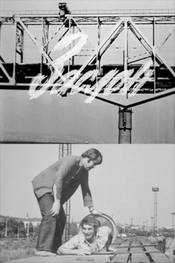 Poster of Barrier