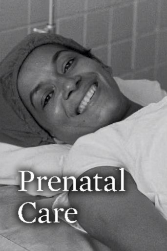 Poster of Prenatal Care